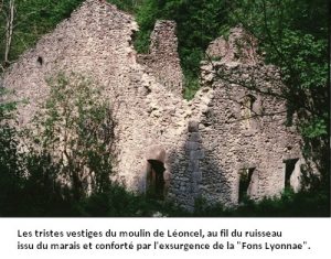 leoncel-abbaye-45.3