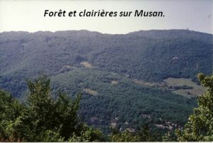 leoncel-abbaye-64.4
